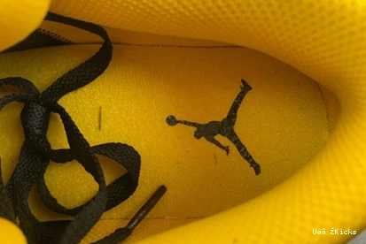 Yellow Low Minimalist Jordan 553558- 87 Air Ochre” “ 3623 1 0819